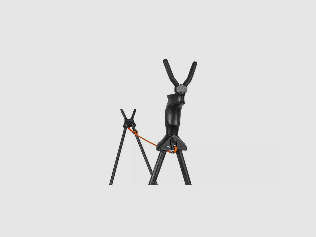 Blaser Carbon Zielstock 2.0