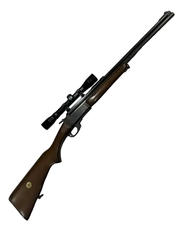 Savage ARMS 24 BBF .22LR 12/70 mit 6×42