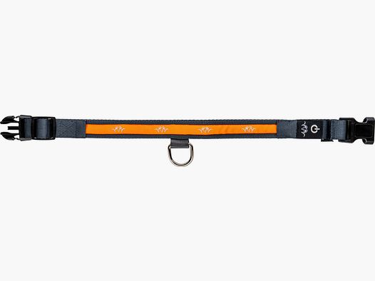 Blaser LED Halsband orange