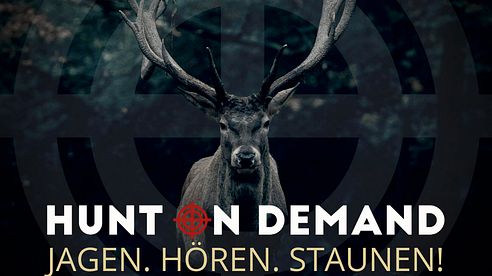 Filme, Podcast & Neuigkeiten im September