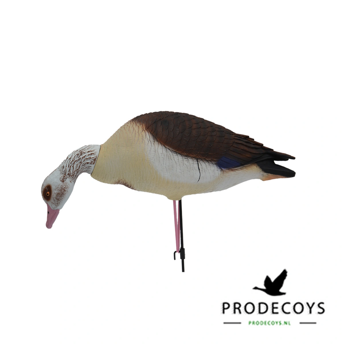 Prodecoys Elite Nilgans 6 Stk., Bild 2 von 2