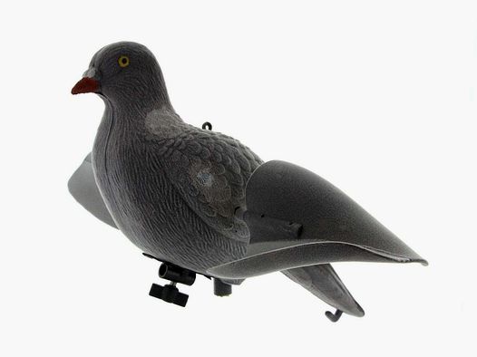 Europ-Arm Pigeon Roep - Draaiende Vleugels