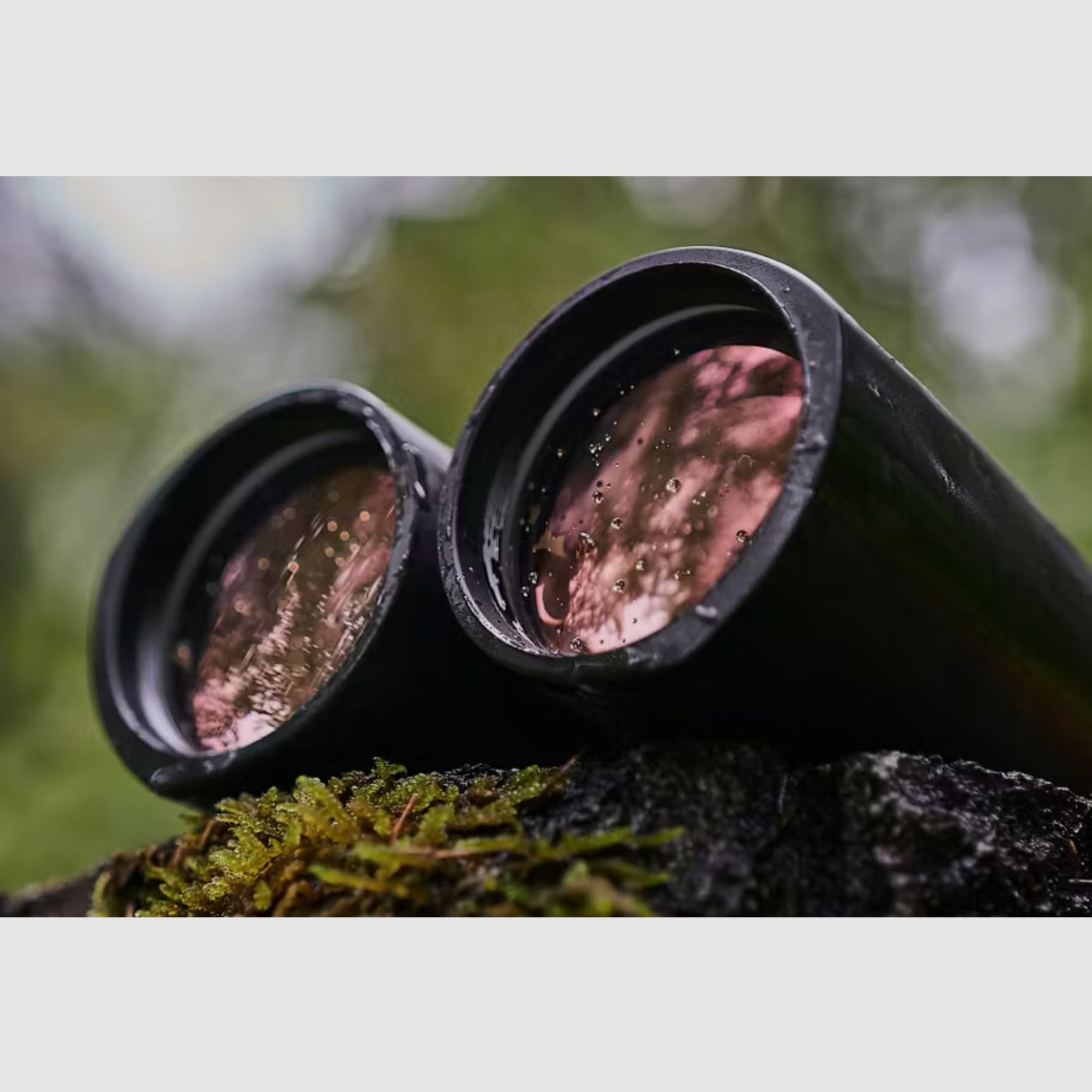 ZEISS Conquest HDX 8x42