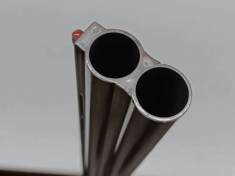 A.S.L. - Italy Turin