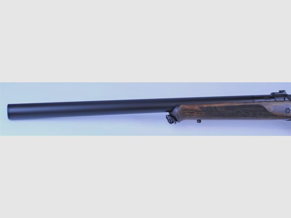 Sauer S101 Silence GTI