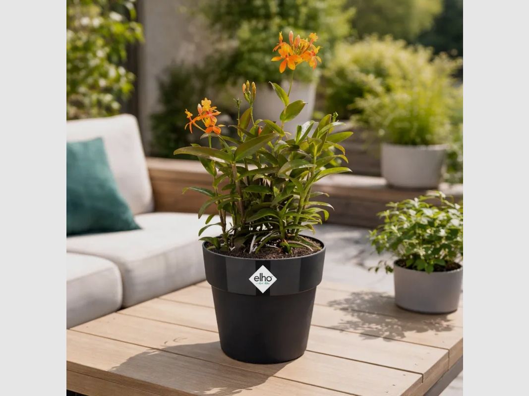 Vaso da fiori Elho Ø22xH20cm nero in plastica riciclata con serbatoio d'acqua integrato, immagine 3 di 7