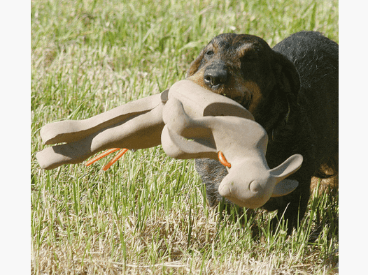 Hunting Equipment for Retrieving Rabbits