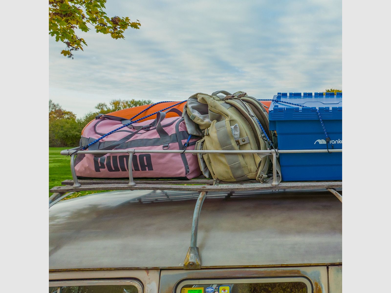 Luggage Spider, image 5 of 8