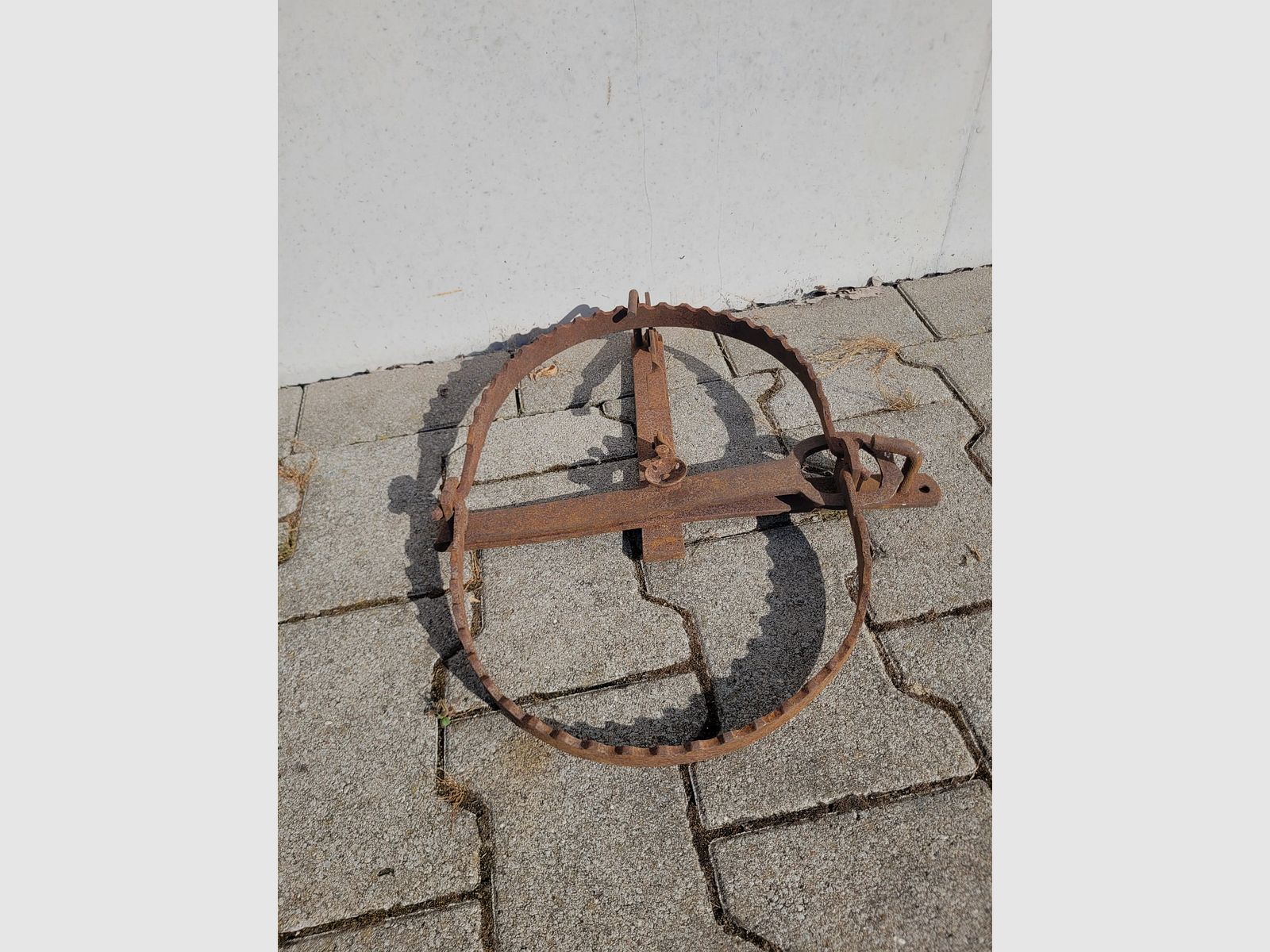 Bear trap decoration 48cm
