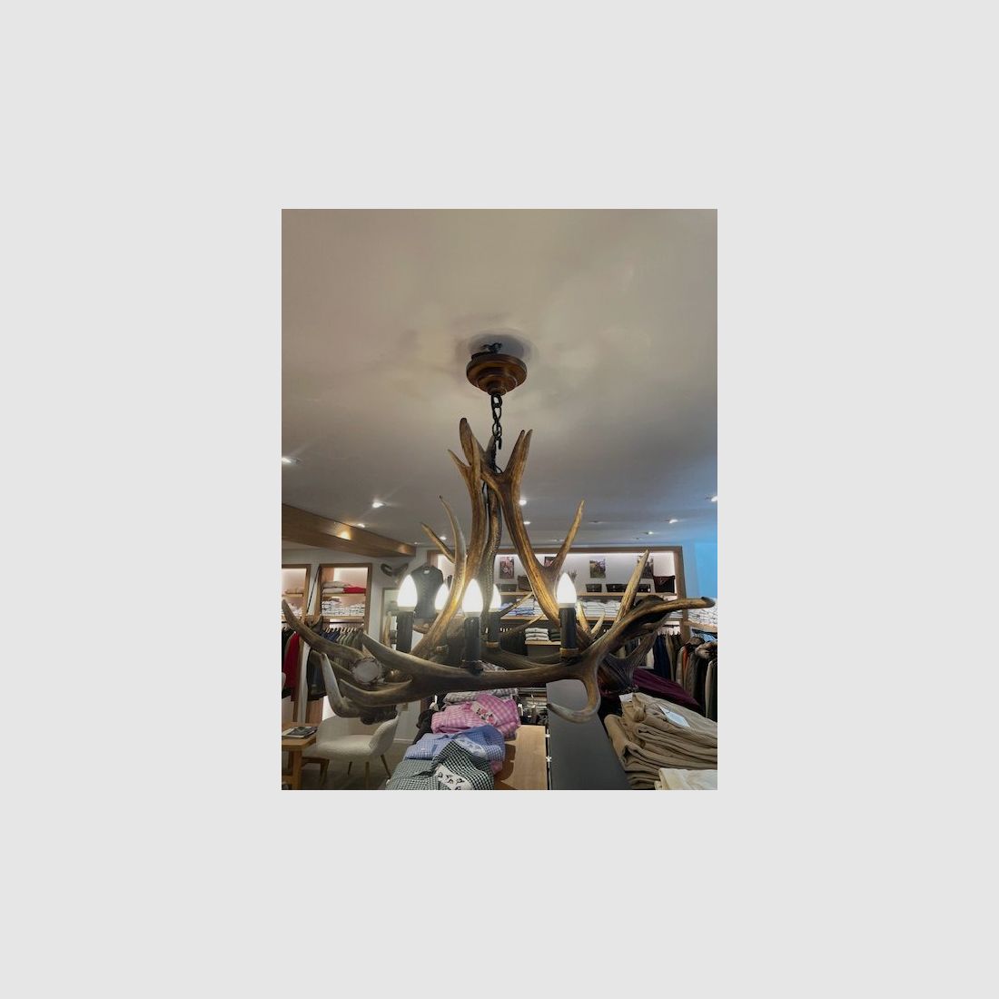 Lampe aus Hirschhorn, Bild 4 von 4