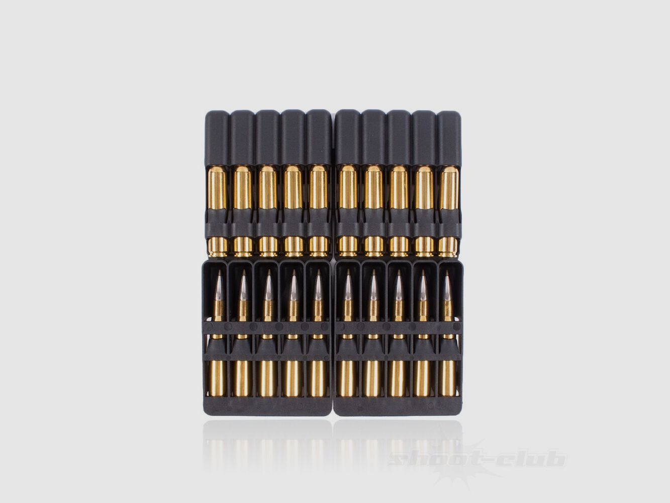 RWS Evo Green Hunting 9,0g/139gr