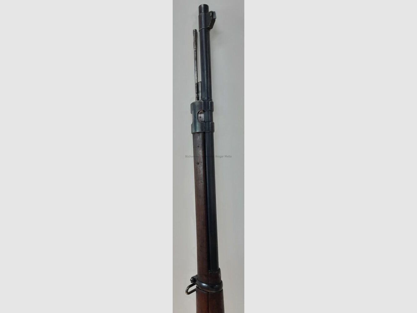 DWM M1909 Argentino