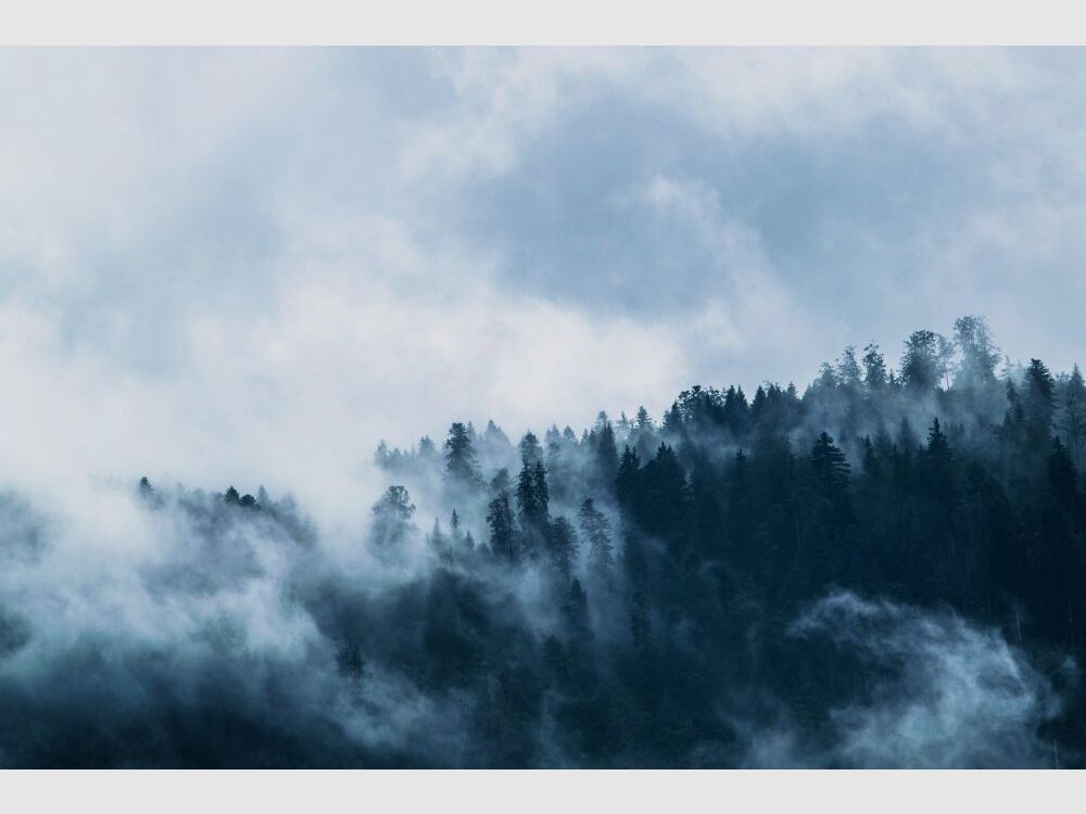 Verney Carron Speedline 308 Sintetico