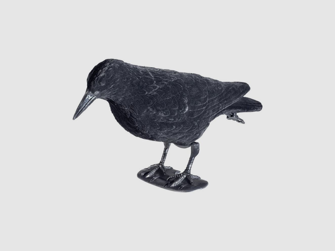 Kit per la caccia ai corvidi, immagine 2 di 7