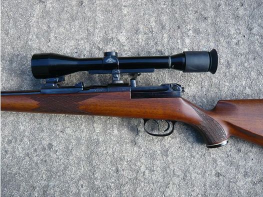 Mauser 66