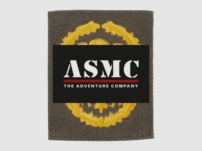 Fritzsch Fritzsch Leistungsabzeichen BW Oliv