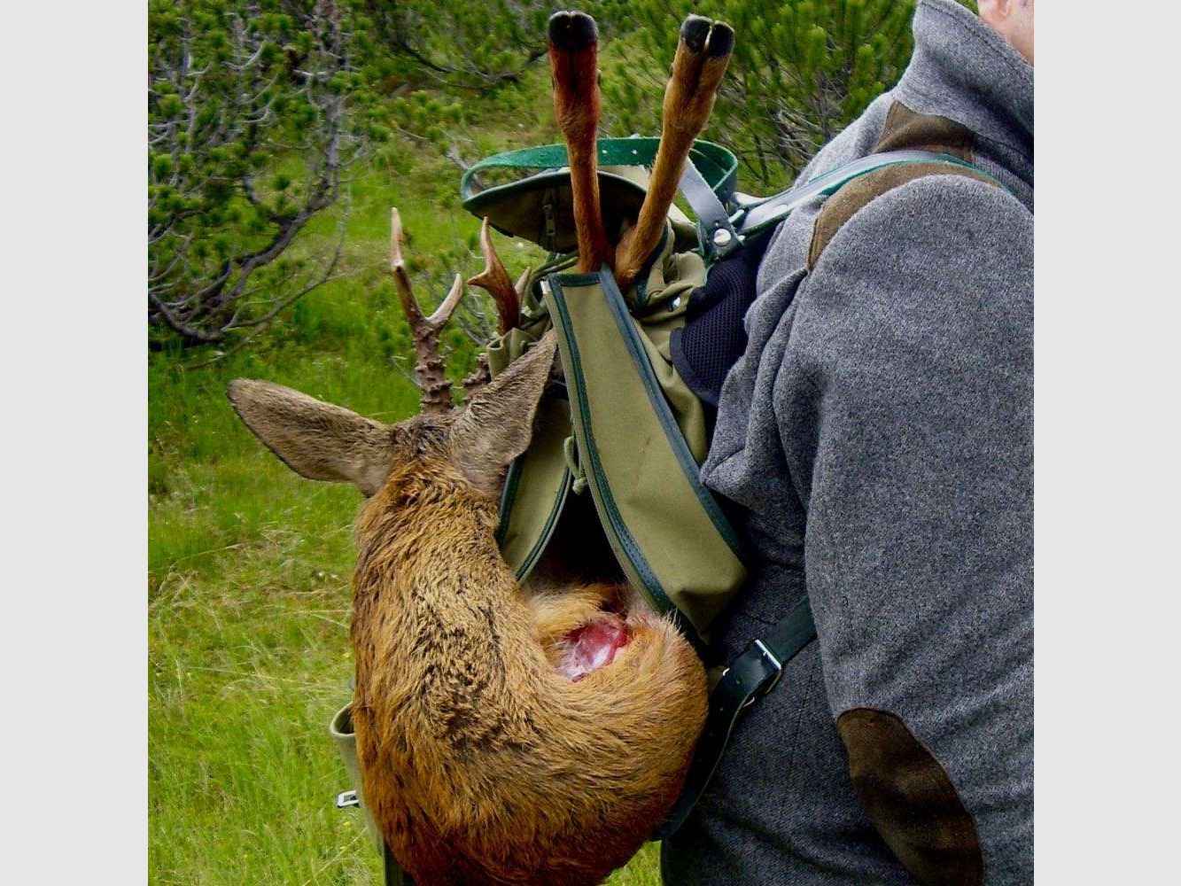 Spezial Jagdrucksack Leinen | 40L - Modell "Atlas", Grundausstattung + 1 Spektivtasche, grün, Bild 9 von 59
