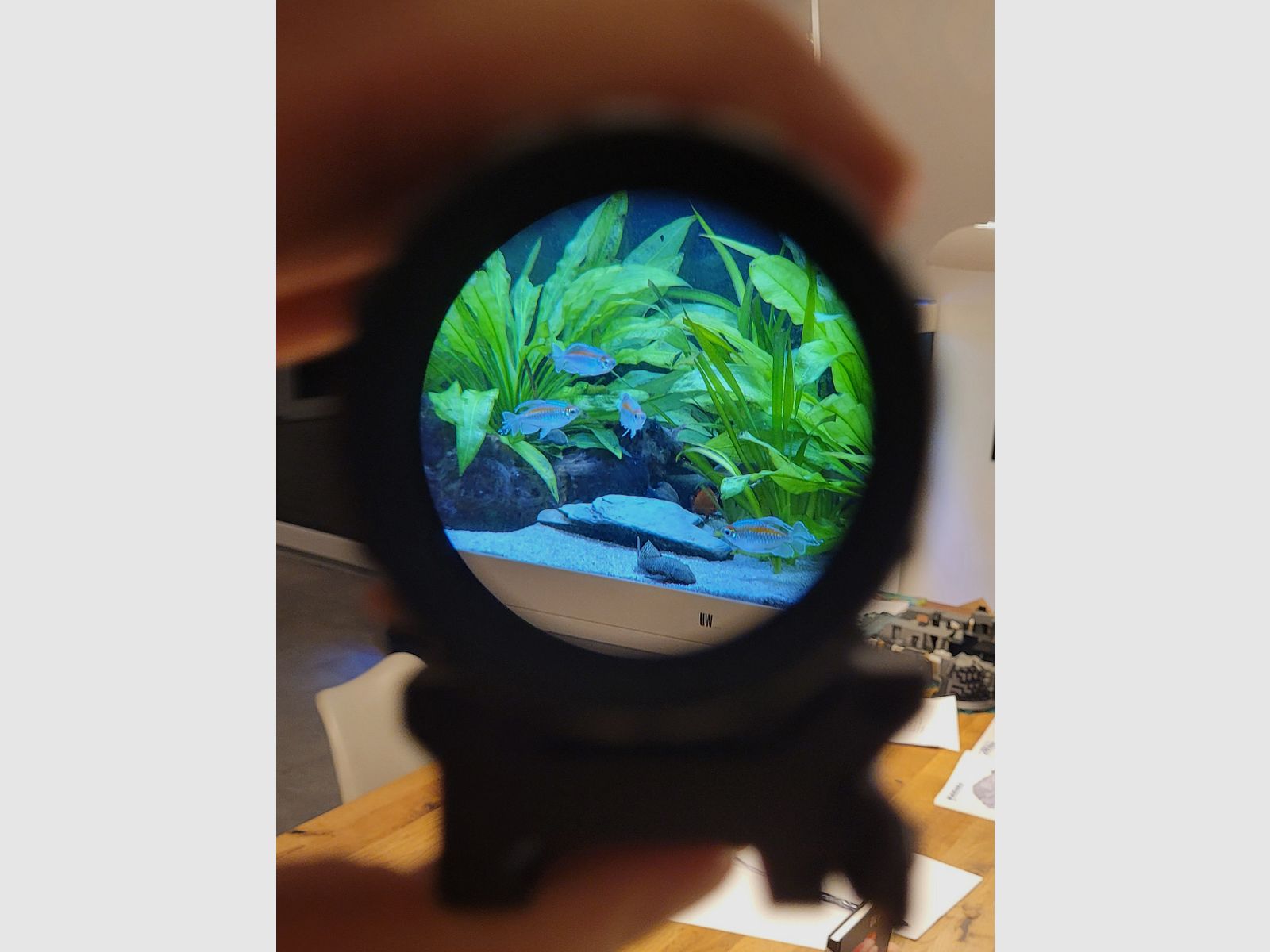 Falke Magnifier B3X LE