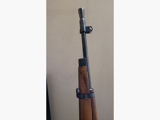 Enfield