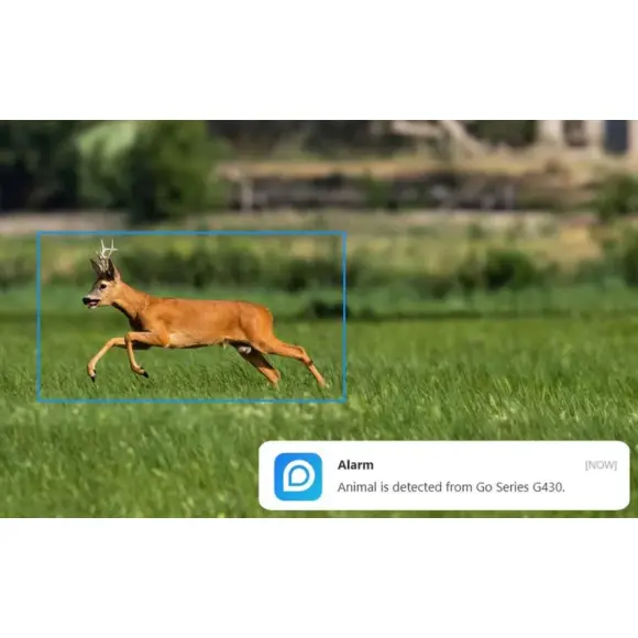 Reolink Go G450 4G Kabellos 360° mit Nachtsicht, Bild 5 von 12