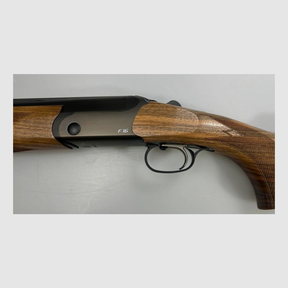 Blaser F16 Game