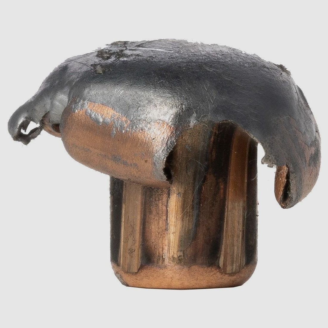 Norma 308 Win Tipstrike 170 gr Munition, Bild 10 von 10
