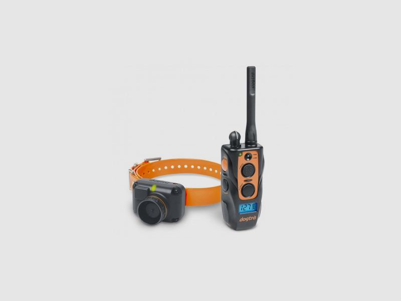 Halsband DOGTRA 2600 T&B, Bild 1 von 3