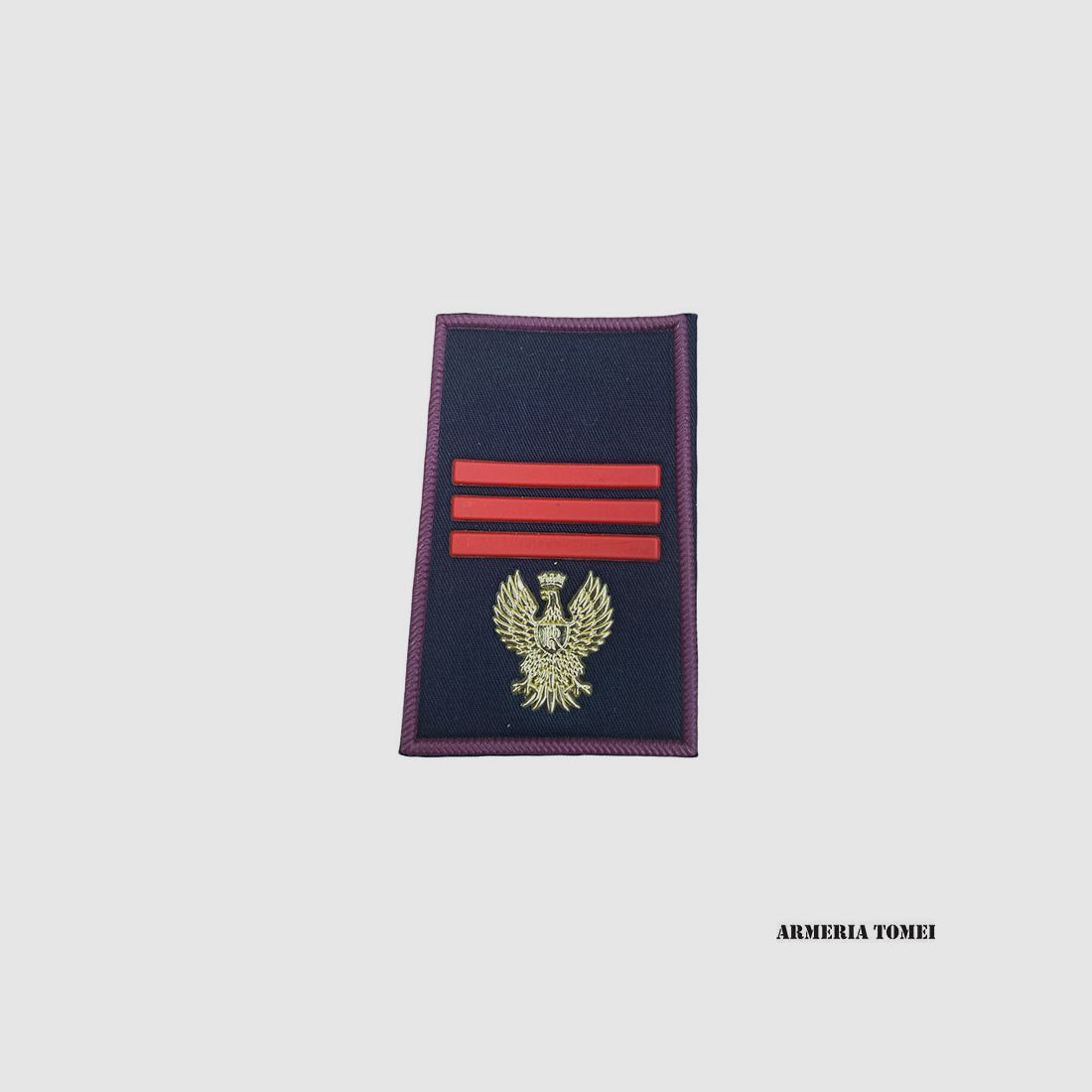 RANK – STATE POLICE – PAIR TUBULAR ASSISTANT CHIEF