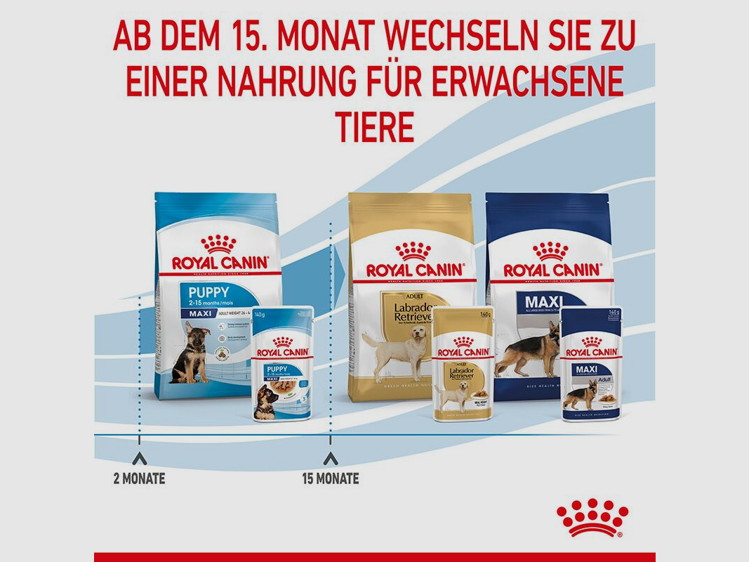 ROYAL CANIN Große Hunde Nassfutter Maxi Welpen bis zum 15. Monat 10x140 g