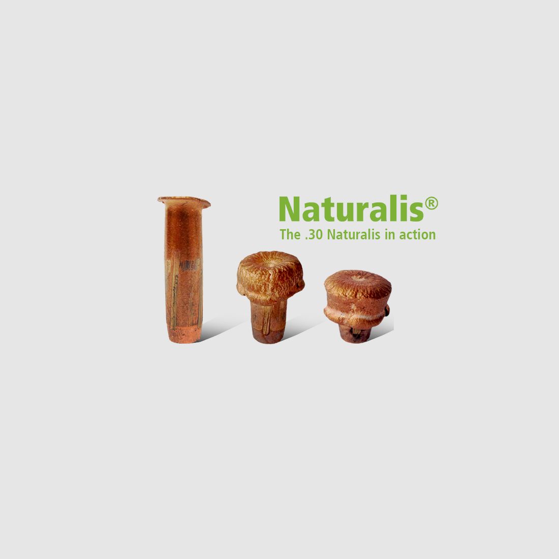 OGIVA LAPUA 9,3MM(366″) 270GR. NATURALIS, afbeelding 1 van 2