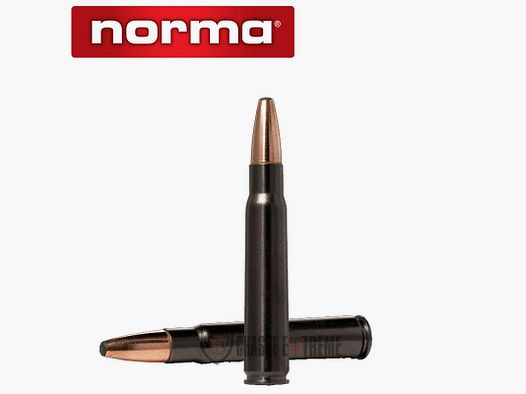 20 Patronen NORMA Kal. 8x57JS-196gr Oryx Schalldämpfer