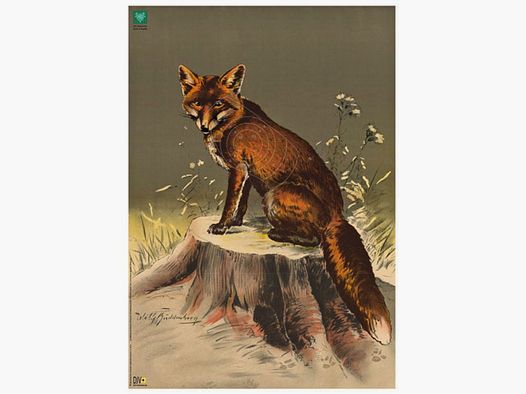 DJV Scheibe Nr.3 Fuchs