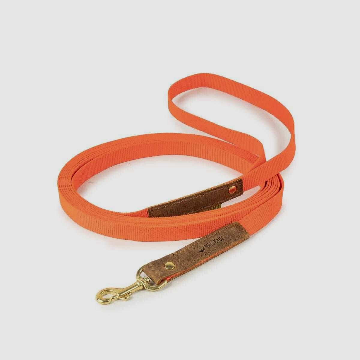 WALDKAUZ Laisse d'entraînement "Praktikant" Orange 5m, image 1 sur 2