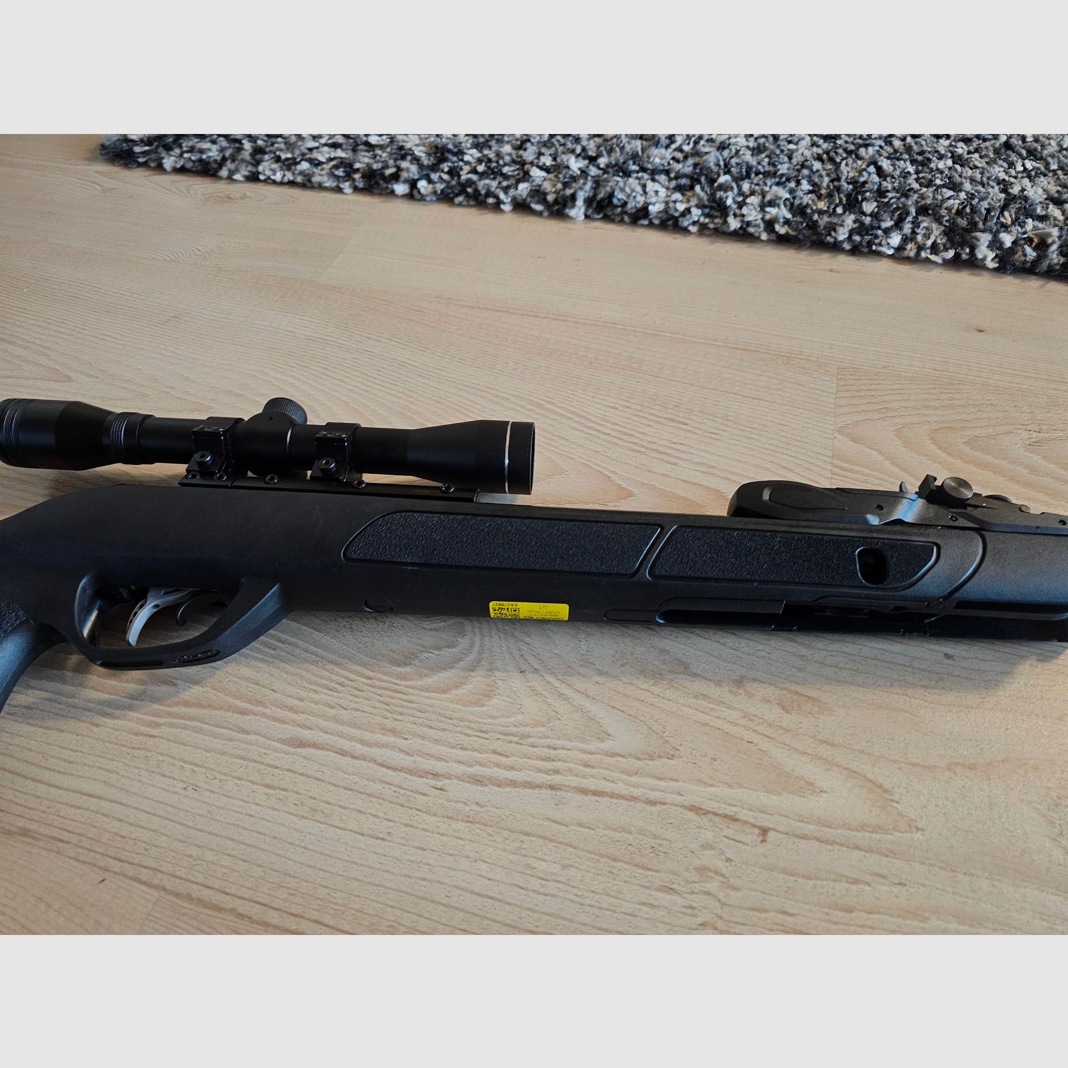 Gamo 10 Schuss Luftgewehr