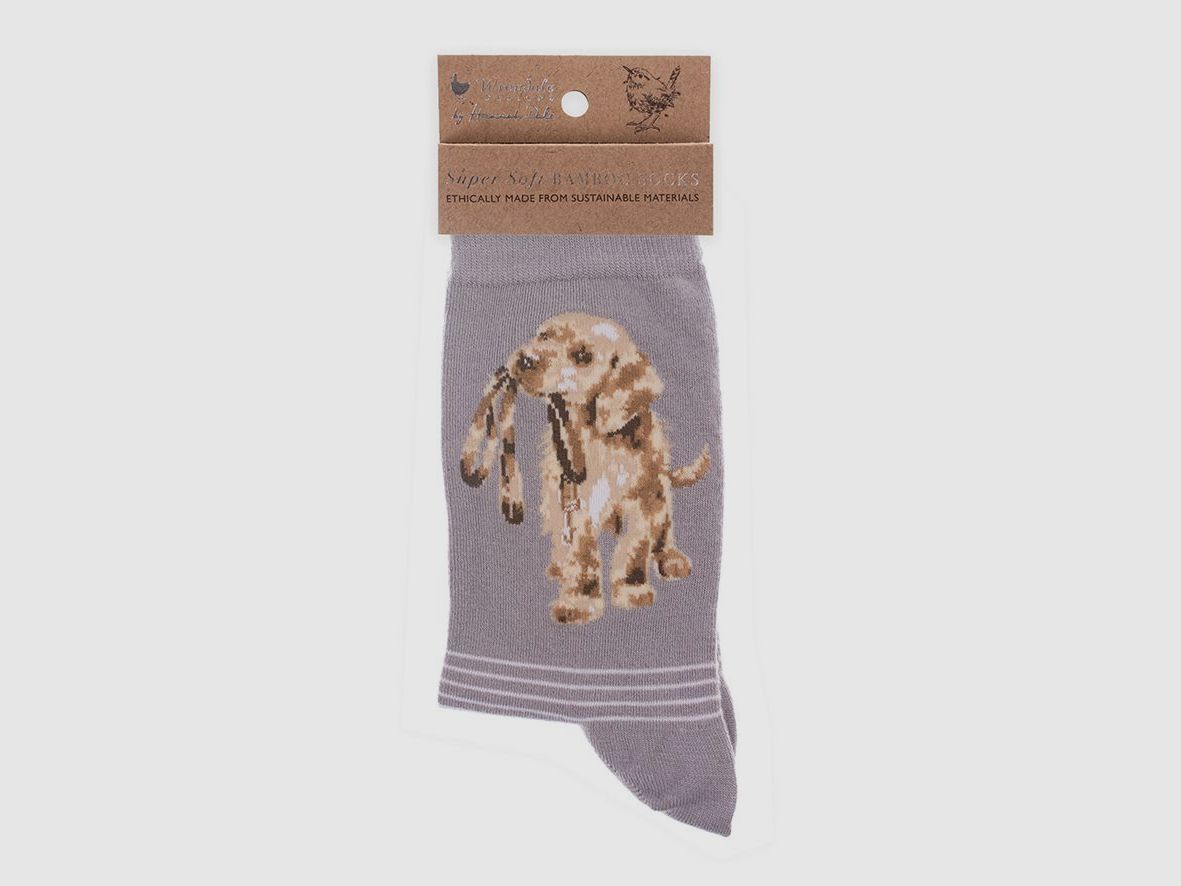 Wrendale Socken "Hopeful" mit Hund grau