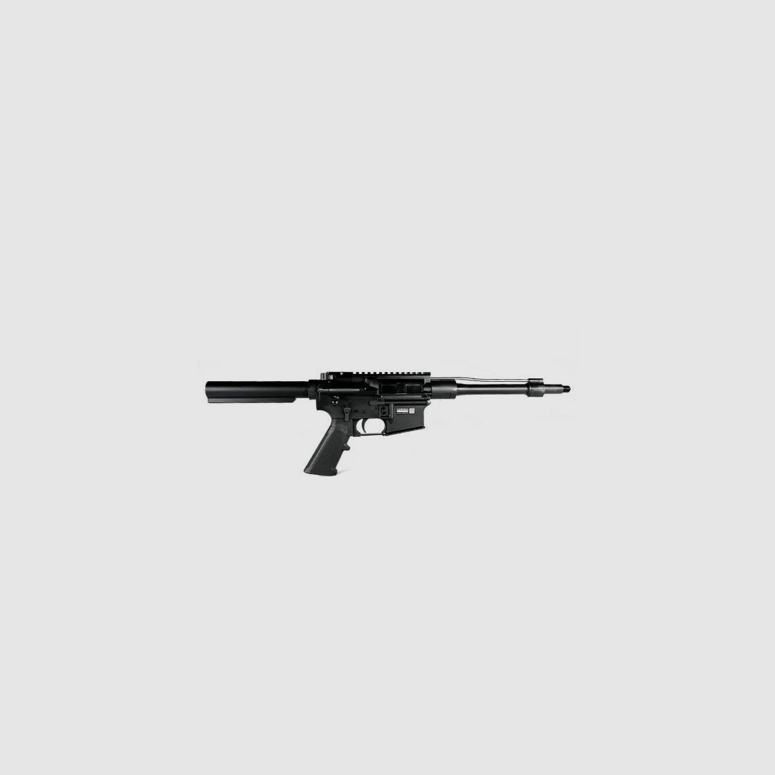 GERMAN TACTICAL SYSTEMS Naked AR15