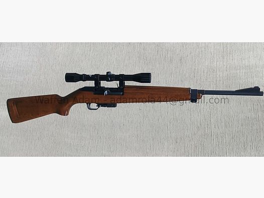 Erma Werke M1 Semiautomatico