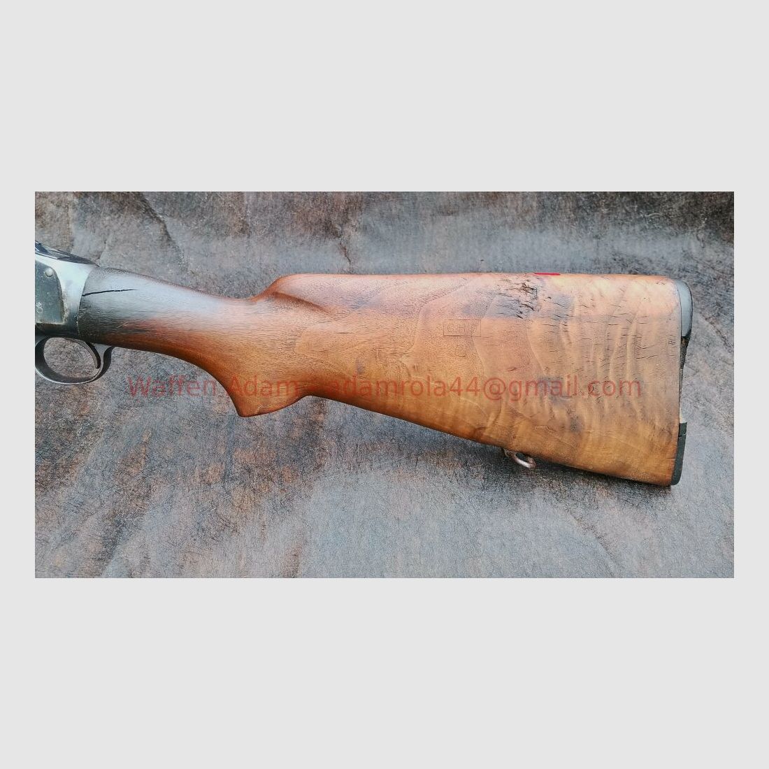 Winchester 1897 U.S.- Trench Gun- WK II Riot Gun