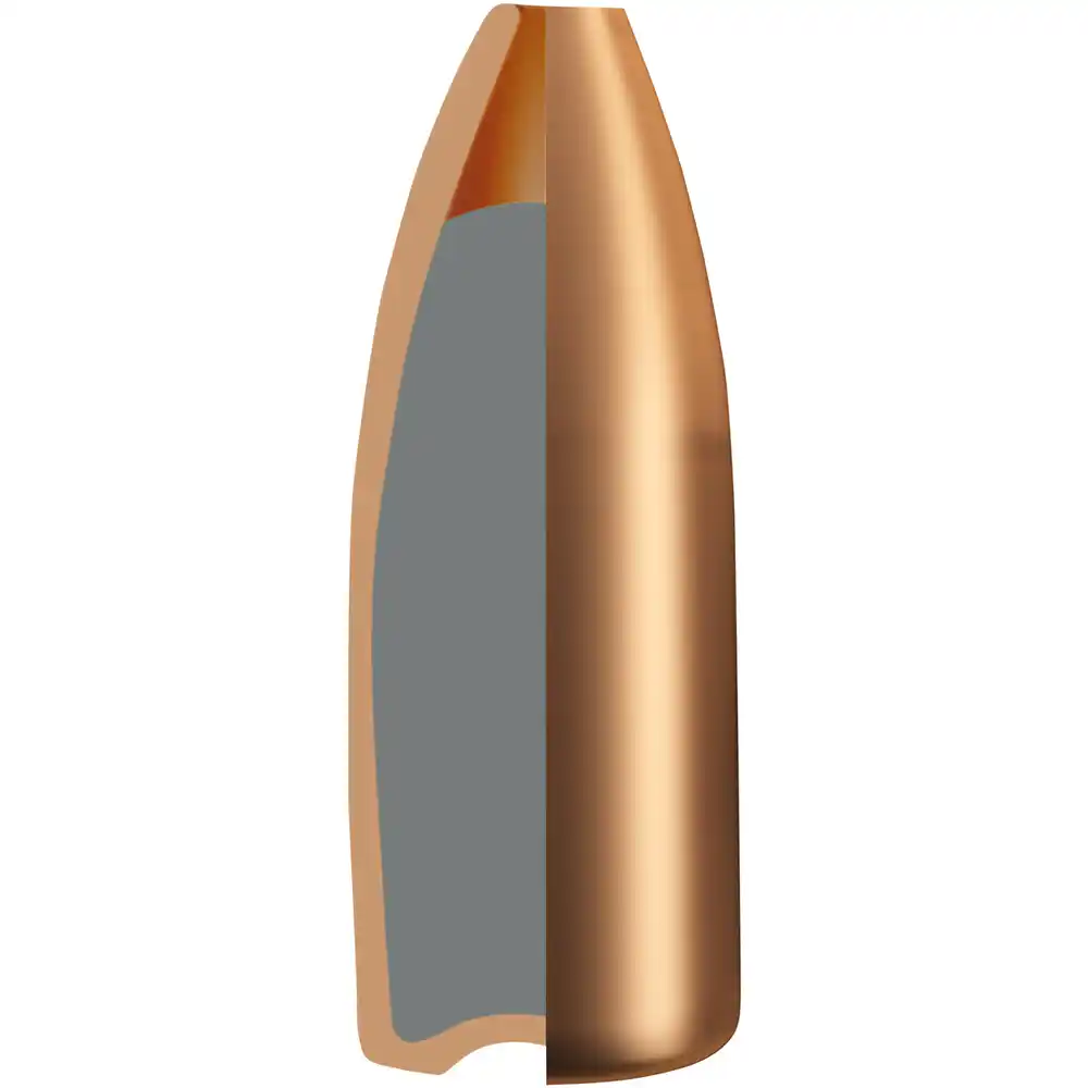 RWS .22 Hornet Match-Jagd 3,0g 46gr 50er, billede 3 af 3