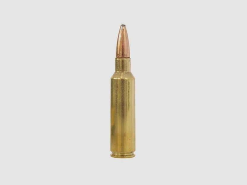 REMINGTON Büchsenpatrone Kal. .300 WSM – 9,72 g Core-Lokt PSP (1 Packung, 20 Stück), Bild 3 von 4