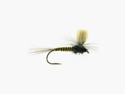 Parachute P 07 H14 Bl