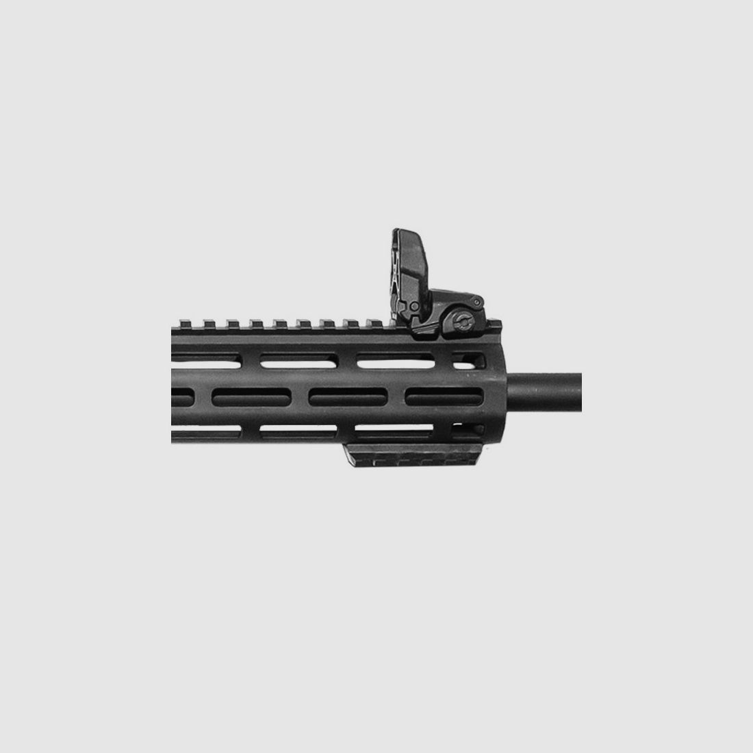 Smith & Wesson MP15-22 Sport, Bild 3 von 3