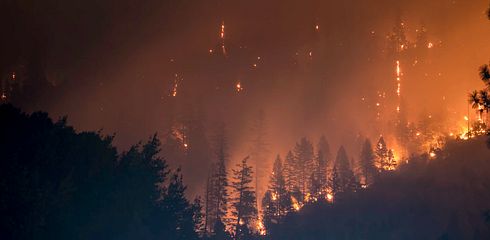 Achtung! Waldbrand!