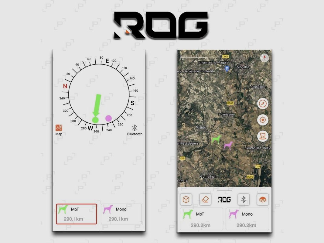 Pack Halsband zur Ortung und Ausbildung ROG HUNTING TR DOG V2, Bild 2 von 3