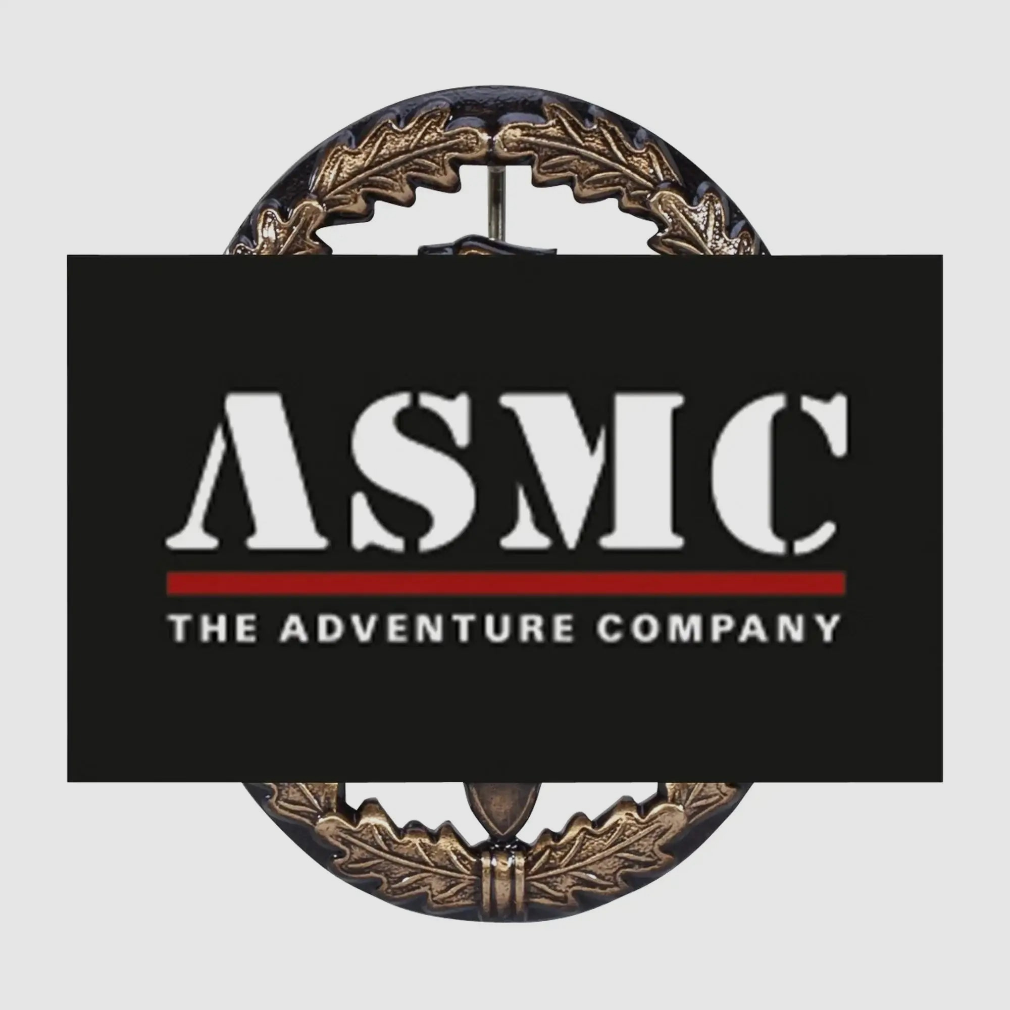 Fritzsch Fritzsch Leistungsabzeichen BW Metall