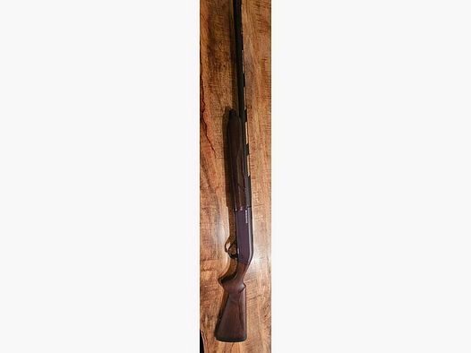 Winchester SX 4