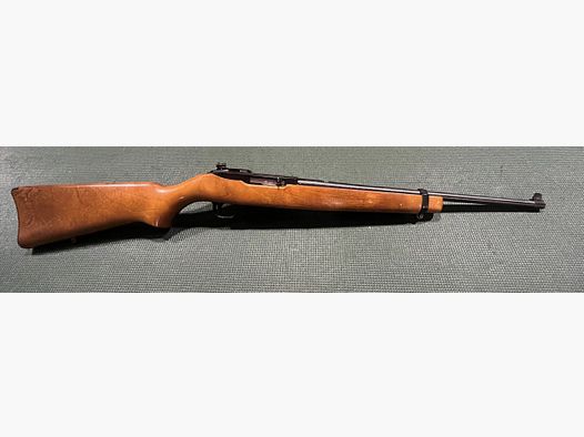 Ruger 10/22
