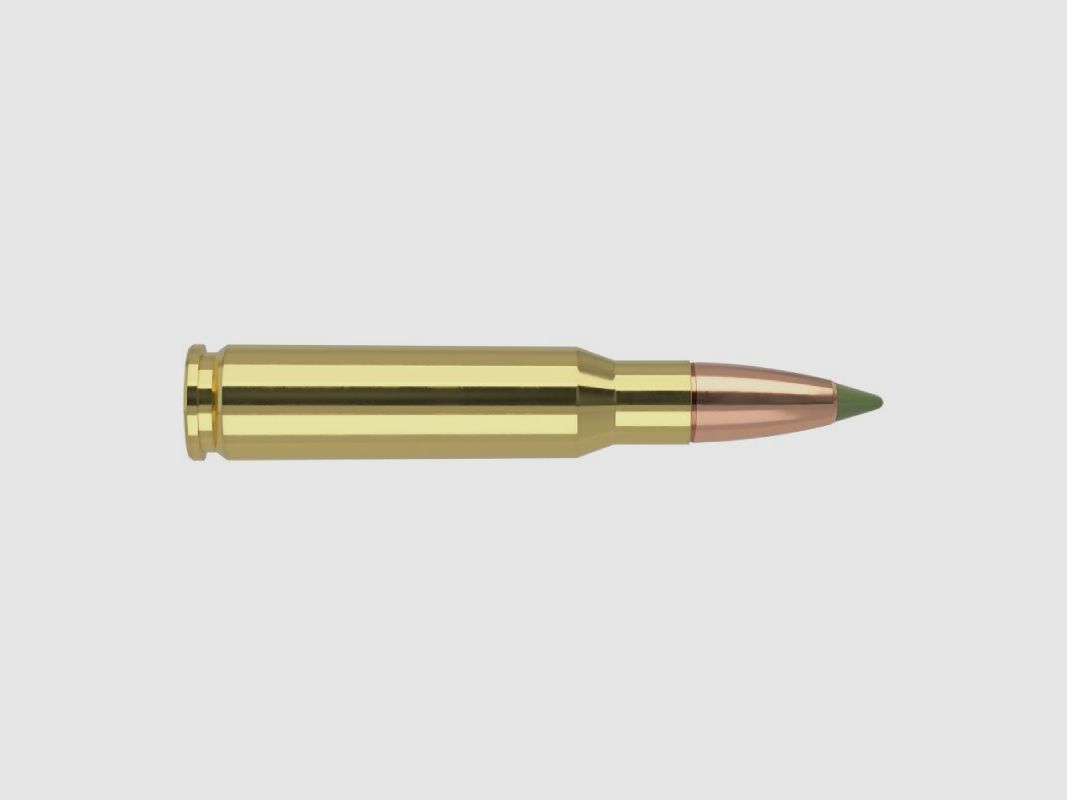 Ammunition 308 WIN NOSLER Expansion Tip 168gr .40035, image 2 of 4