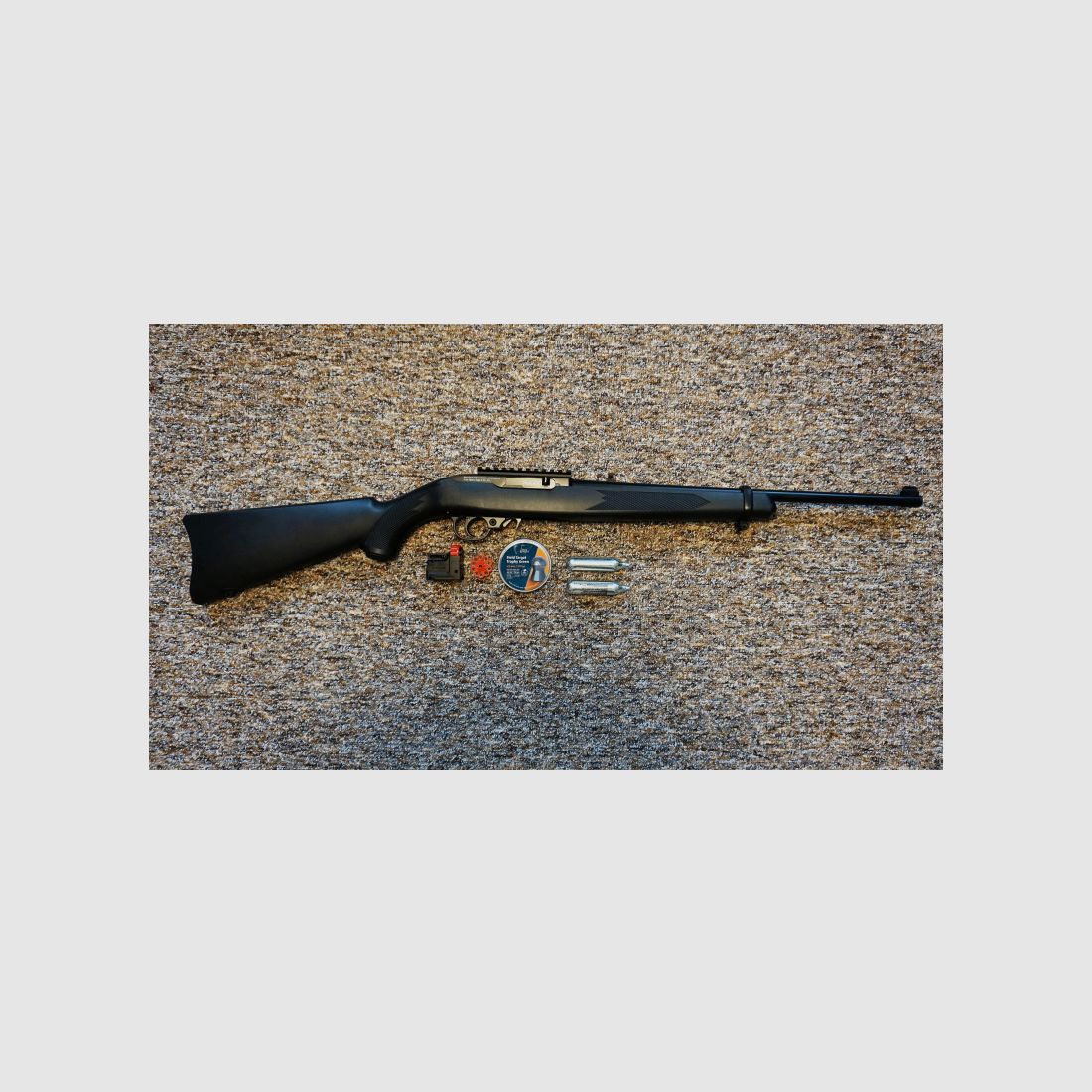 Ruger 10/22 CO2