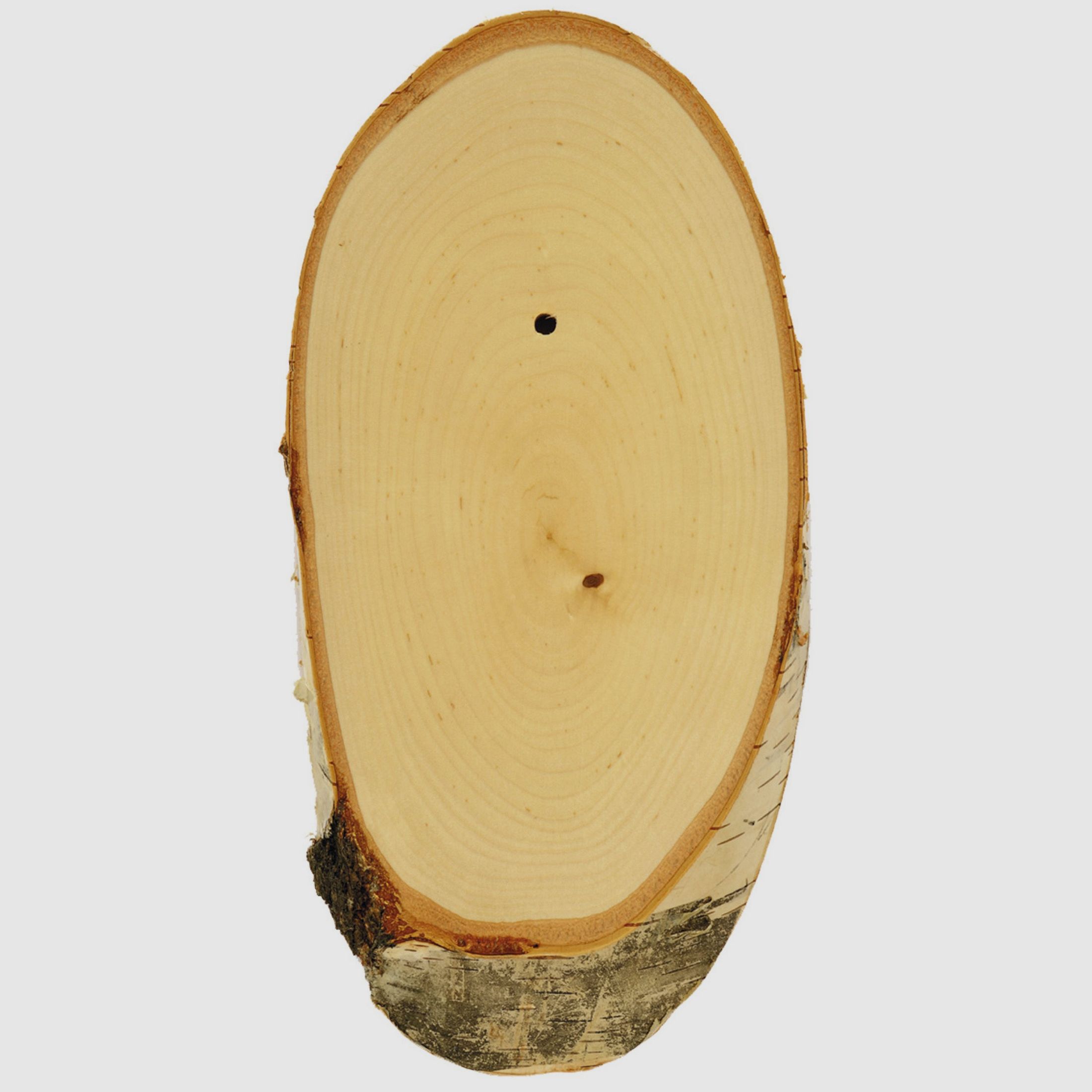 Gehrnbrettchen Rehbock, Birke
